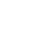 Evolution games at Harpy Casino